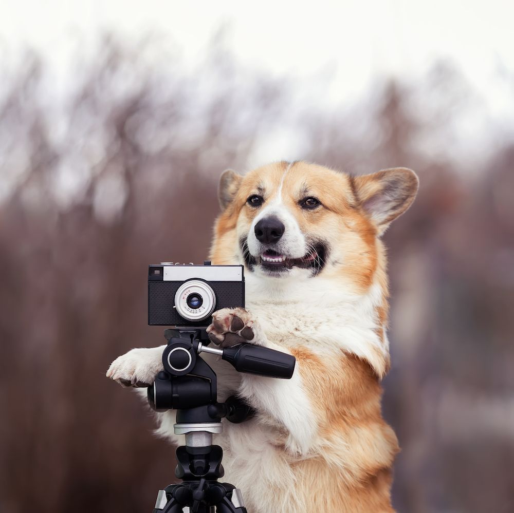 Editorial: March 31, 2023